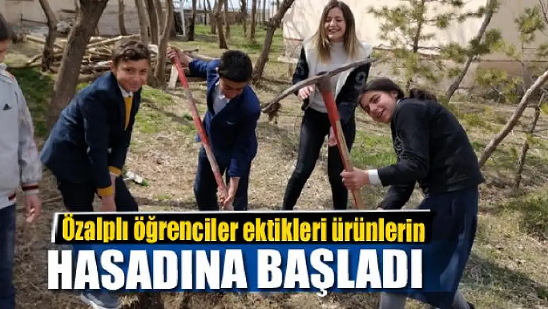 Özalplı öğrenciler ektikleri ürünlerin hasadına başladı