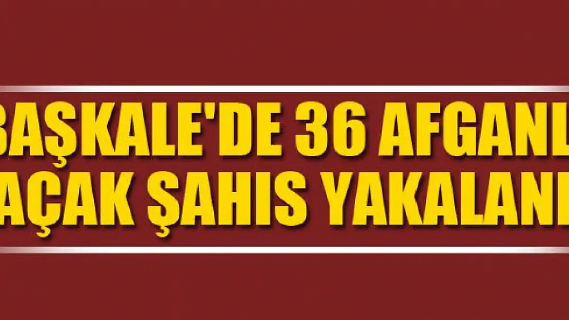 Başkale'de 36 Afganlı kaçak şahıs yakalandı