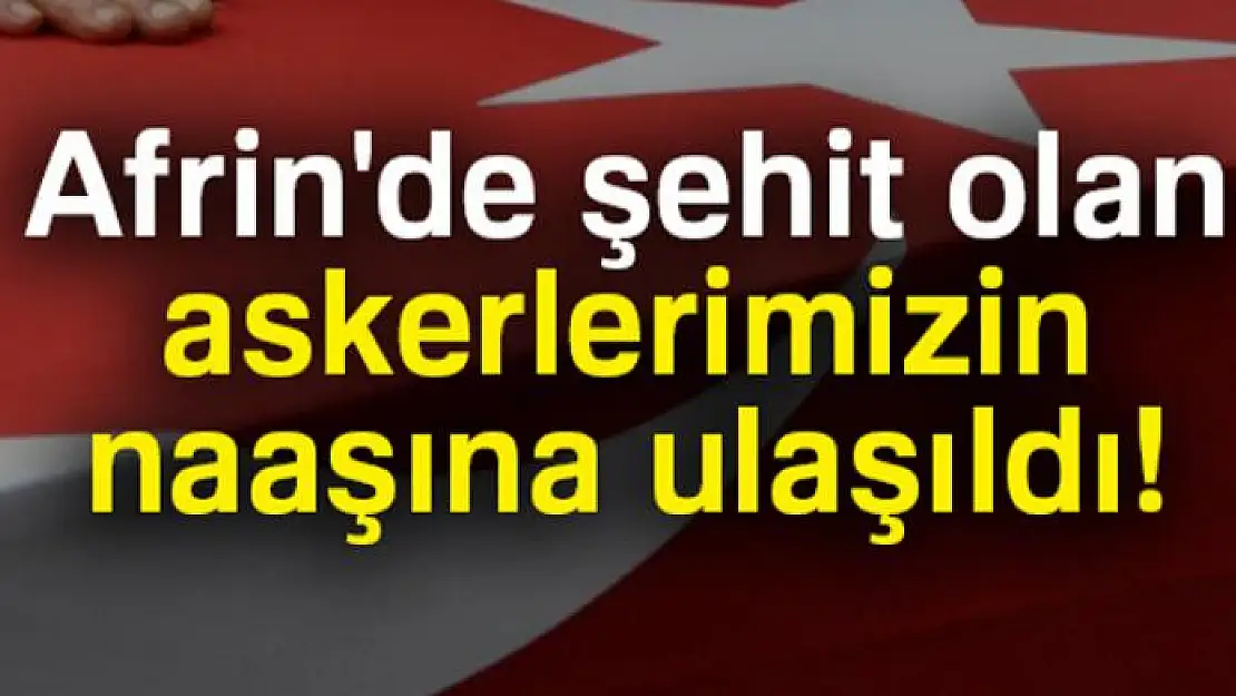 Şehitlerimizin naaşlarına ulaşıldı