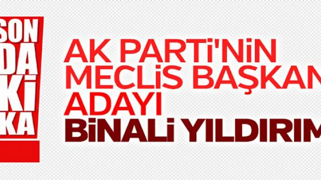 AK Parti'nin TBMM Başkan adayı: Binali Yıldırım