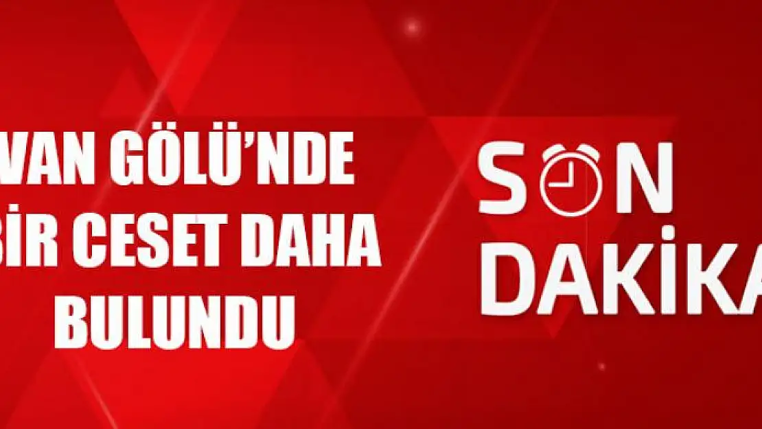 Van Gölü'nde bir ceset daha bulundu