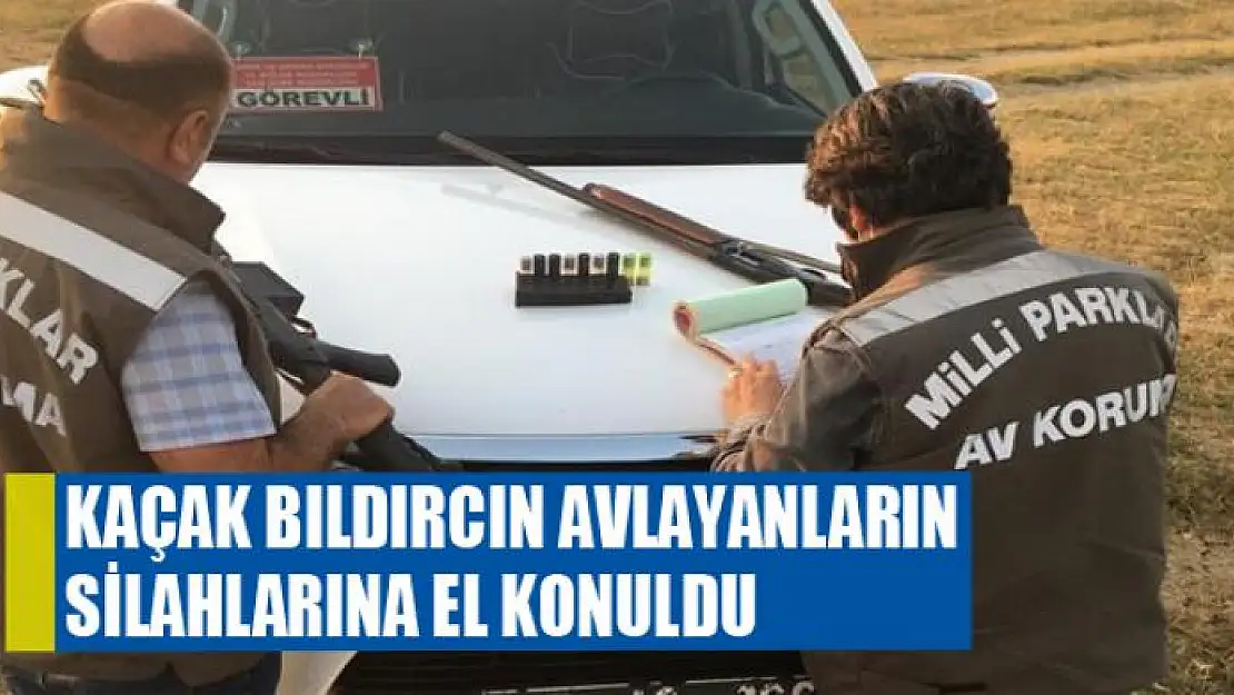 Kaçak Bıldırcın avlayanların silahlarına el konuldu