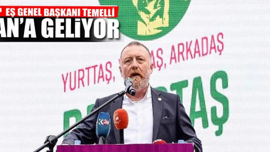 HDP  EŞ GENEL BAŞKANI TEMELLİ VAN'A GELİYOR