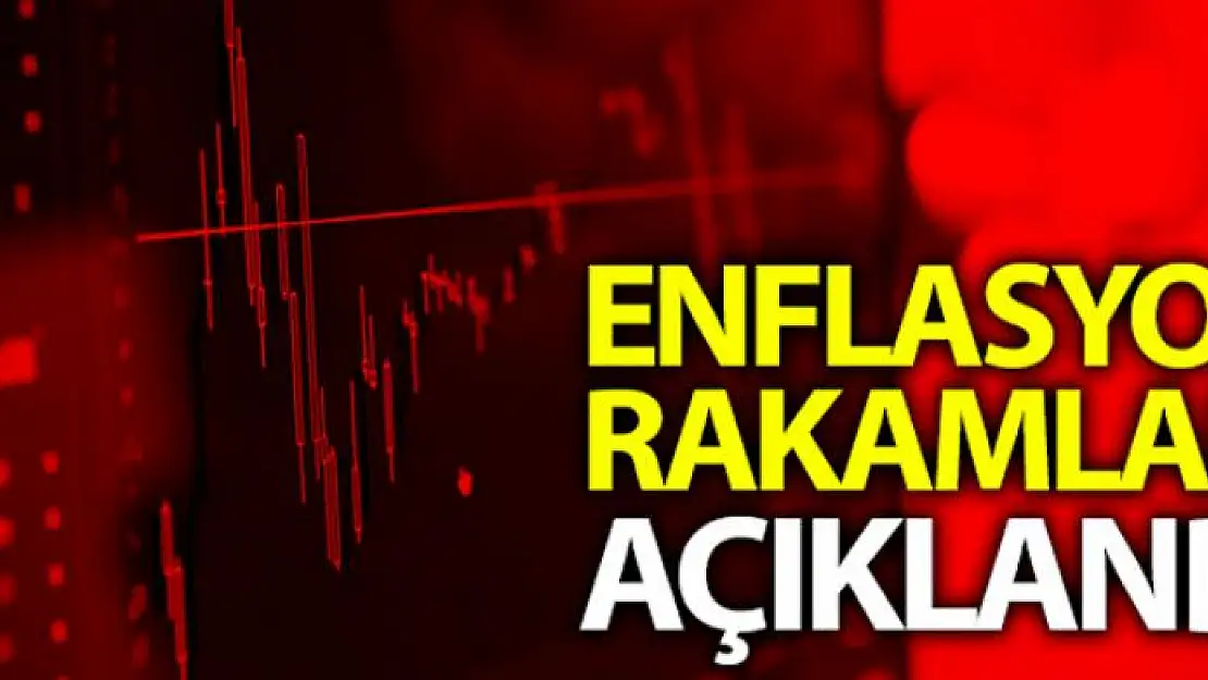 Enflasyon rakamları açıklandı