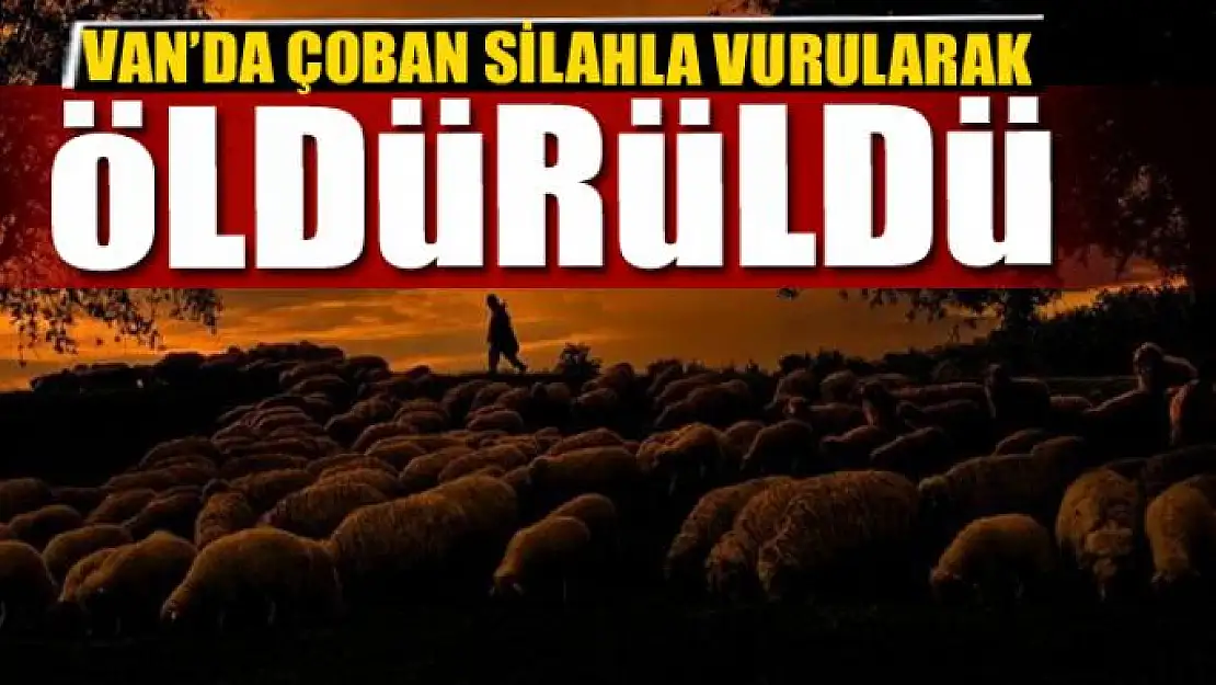 Van'da çoban silahla vurularak öldürüldü