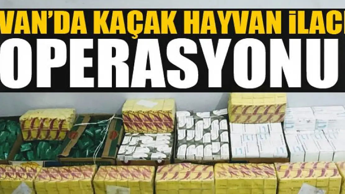 Van'da kaçak hayvan ilacı operasyonu 