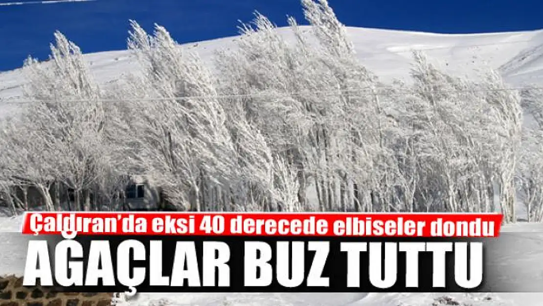 Çaldıran'da eksi 40 derecede elbiseler dondu, ağaçlar buz tuttu