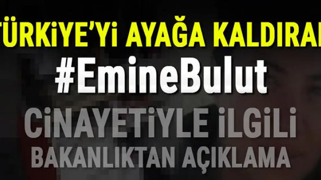 Emine Bulut cinayetiyle ilgili Bakanlık'tan açıklama