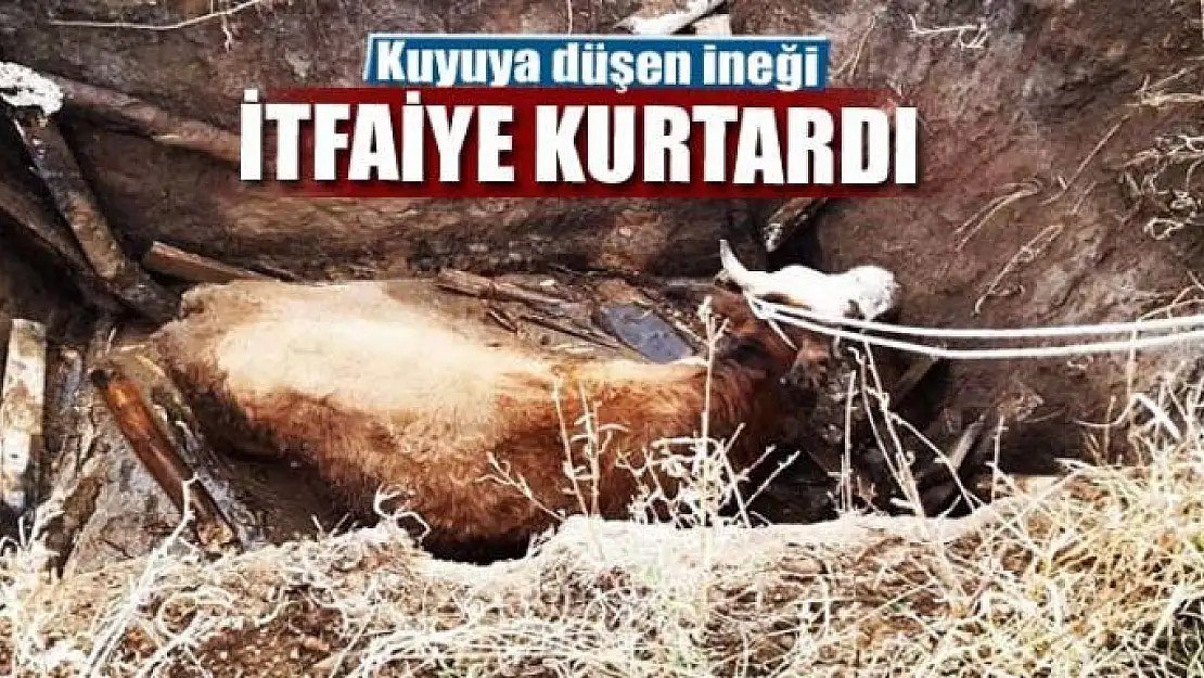 Kuyuya düşen ineği itfaiye kurtardı