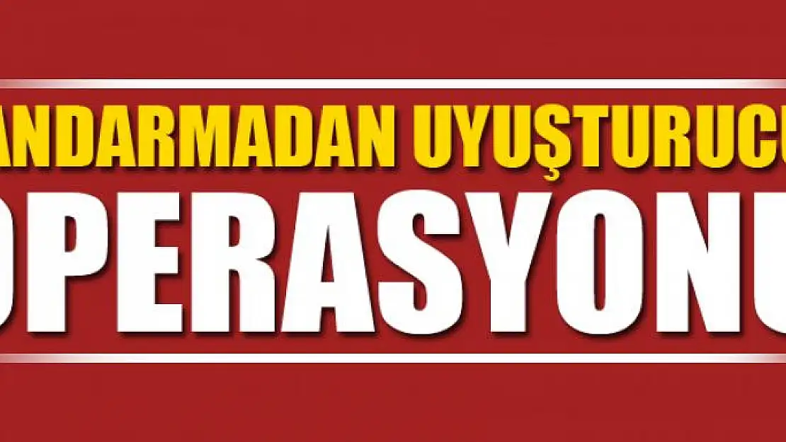 Jandarmadan uyuşturucu operasyonu