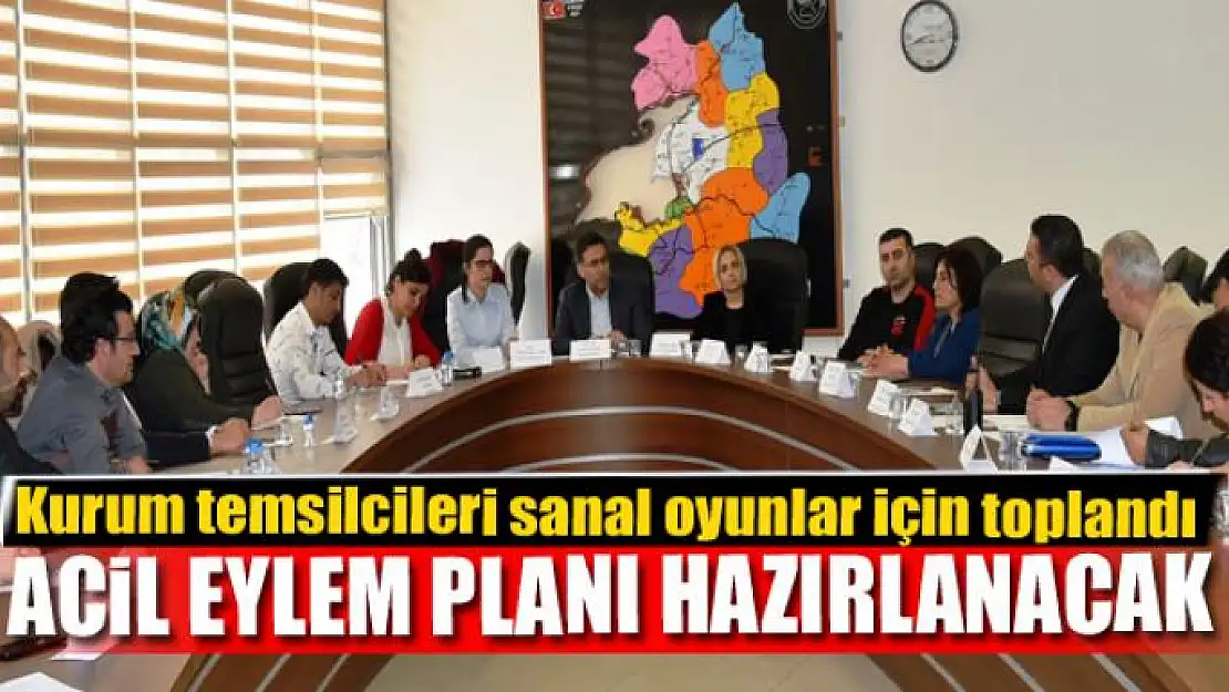 Kurum temsilcileri sanal oyunlar için toplandı 