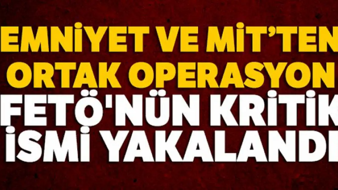 Emniyet ve MİT'ten ortak operasyon: FETÖ'nün kritik ismi Reşat Nazmi Oral yakalandı