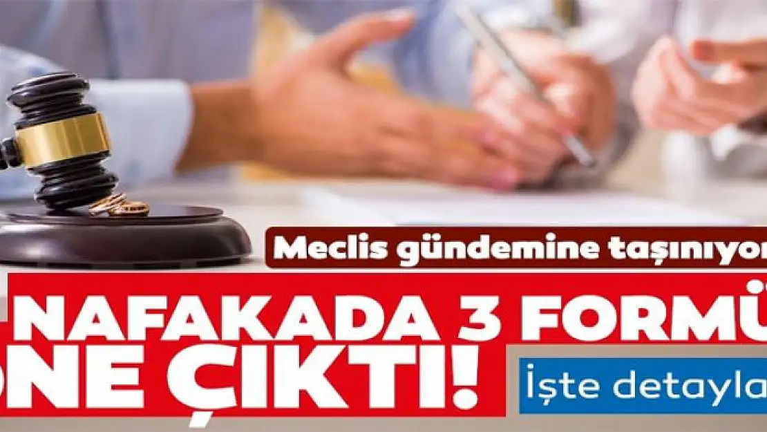 Nafaka düzenlemesi nasıl olacak? İşte nafakada öne çıkan 3 formül...