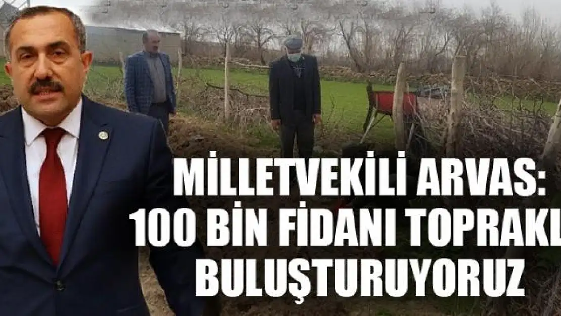 Milletvekili Arvas: 100 bin fidanı toprakla buluşturuyoruz