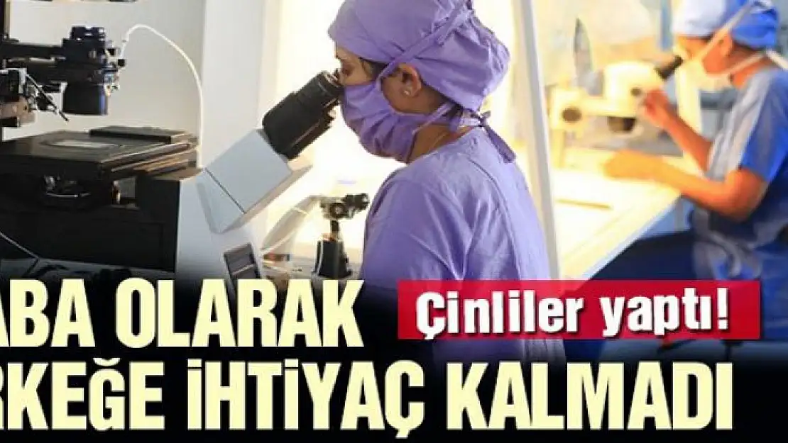 Çinliler yaptı! Baba olarak erkeğe ihtiyaç kalmadı