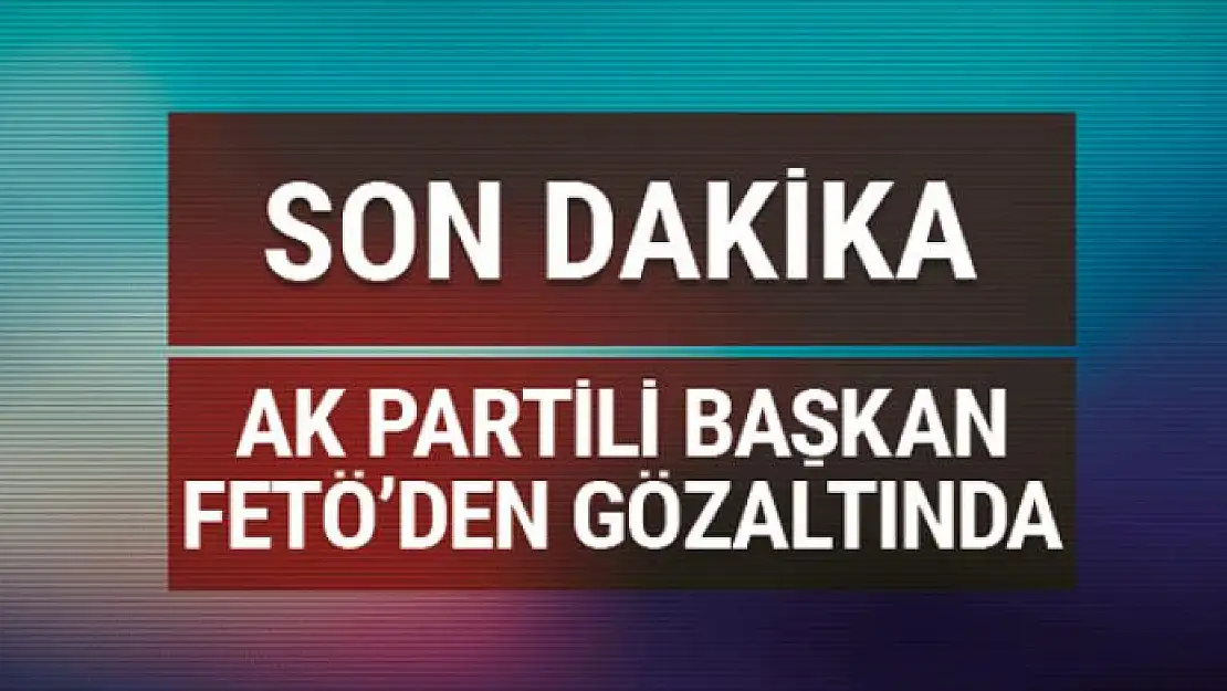 AK Partili başkan FETÖ'den gözaltına alındı!