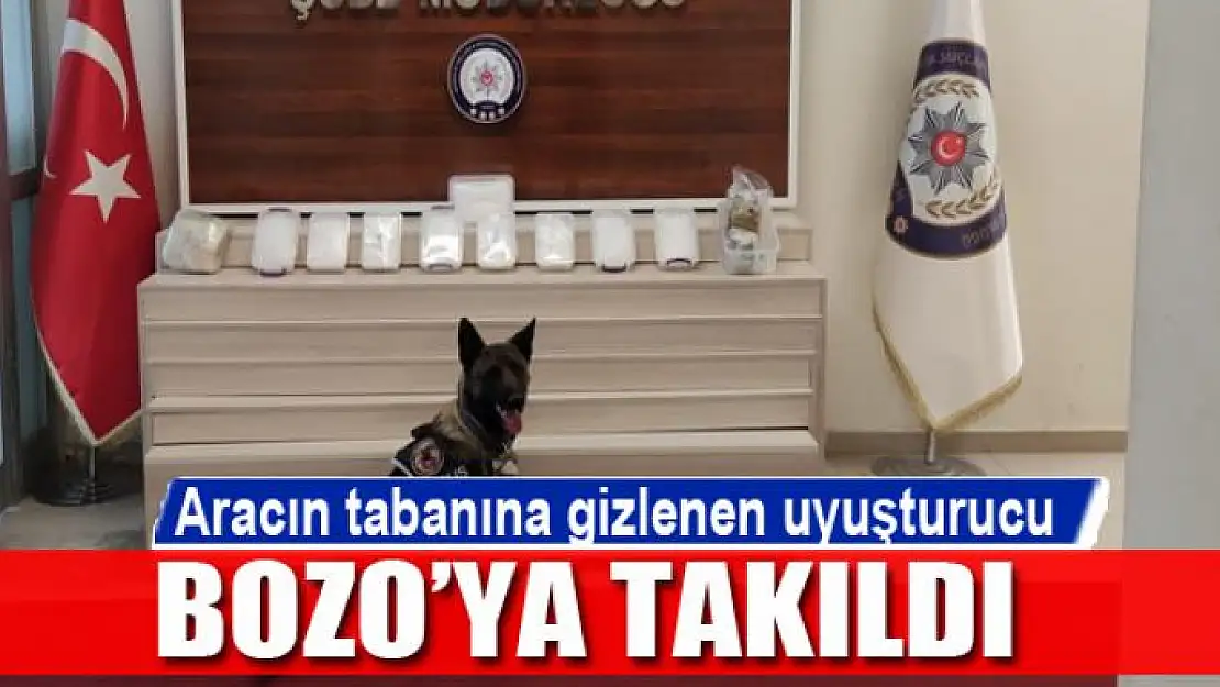 Aracın tabanına gizlenen uyuşturucu Bozo'ya takıldı