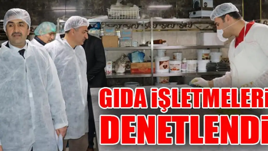 GIDA İŞLETMELERİ DENETLENDİ