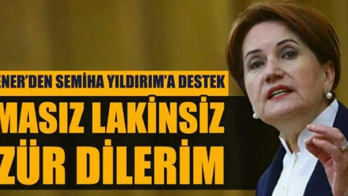 Meral Akşener özür diledi