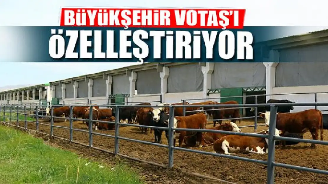 BÜYÜKŞEHİR VOTAŞ'I ÖZELLEŞTİRİYOR