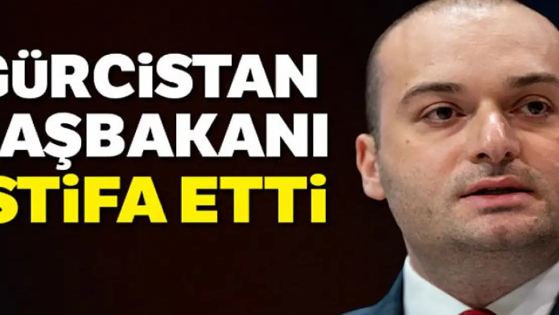 Gürcistan Başbakanı istifa etti