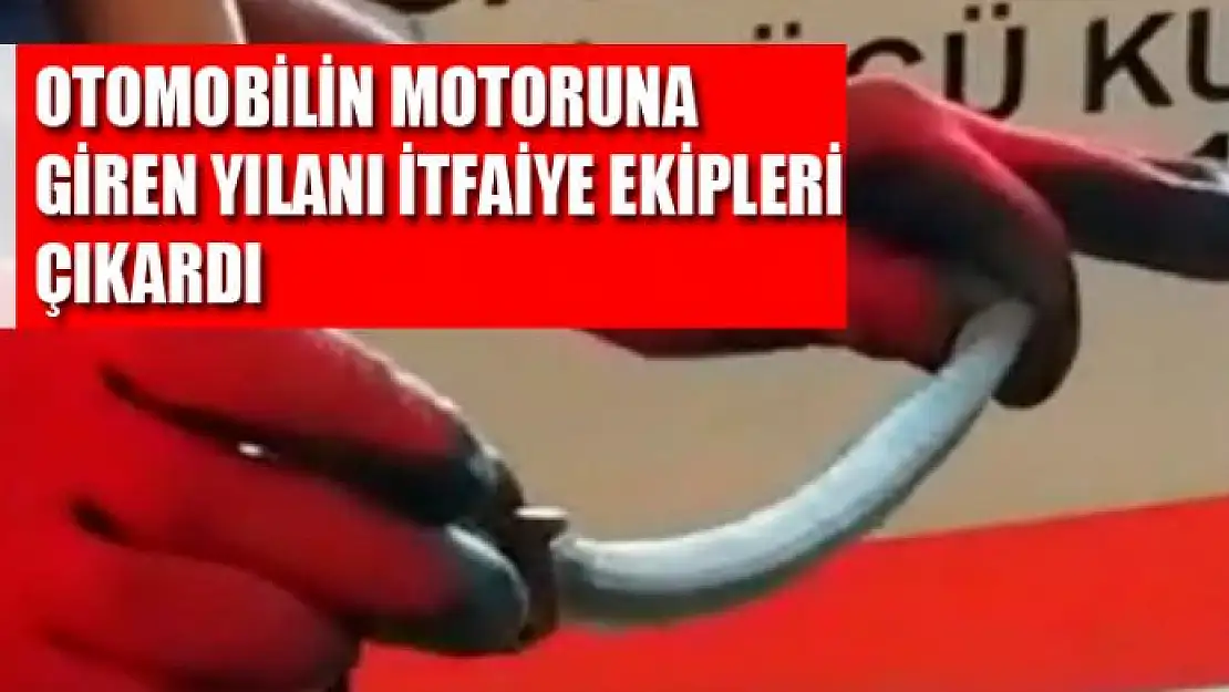 Otomobilin motoruna giren yılanı itfaiye ekipleri çıkardı