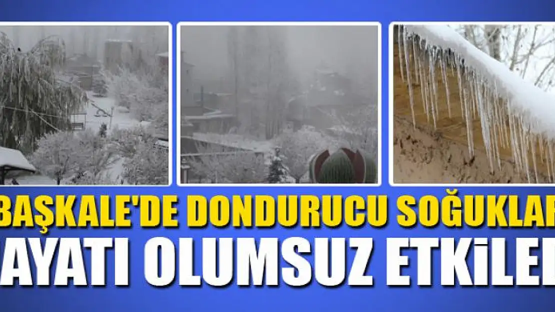 Başkale'de dondurucu soğuklar