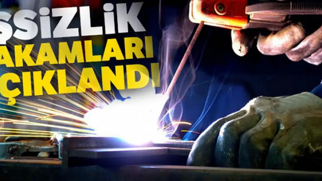 Kasım ayı işsizlik rakamları açıklandı