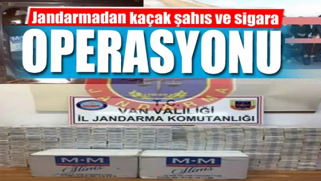 Jandarmadan kaçak şahıs ve sigara operasyonu