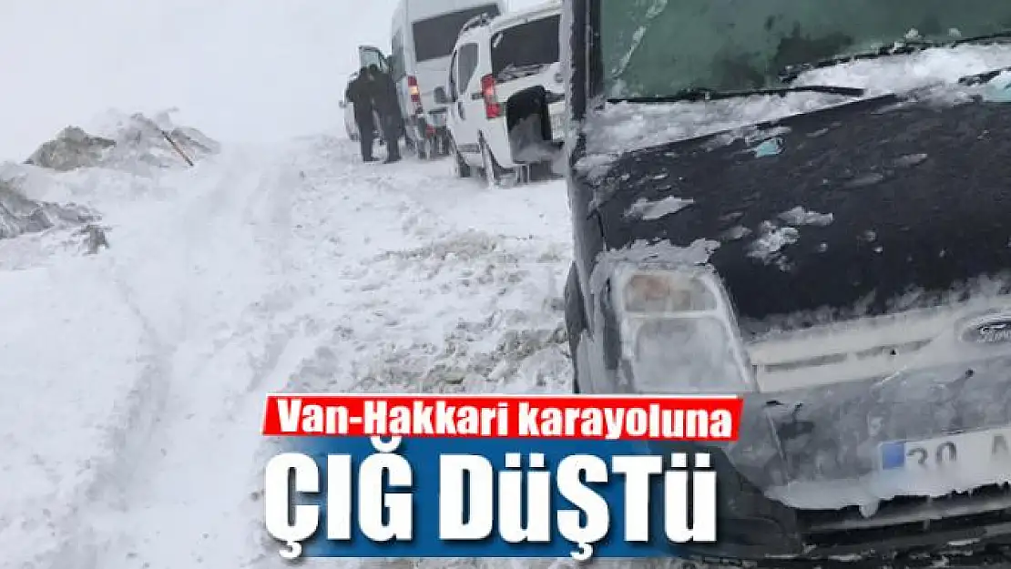 Van-Hakkari karayoluna çığ düştü