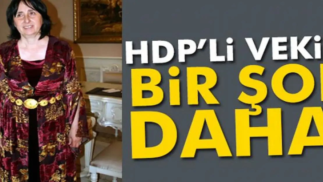 HDP'li vekile bir şok daha