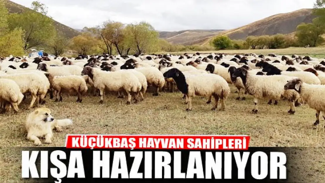 Küçükbaş hayvan sahipleri kışa hazırlanıyor 