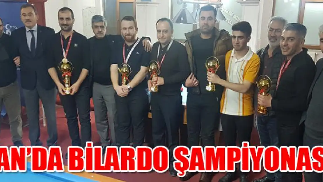 Van'da bilardo şampiyonası