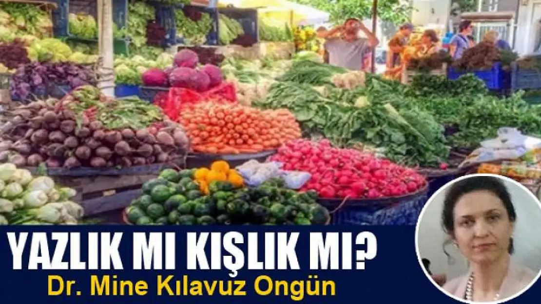 YAZLIK MI KIŞLIK MI?