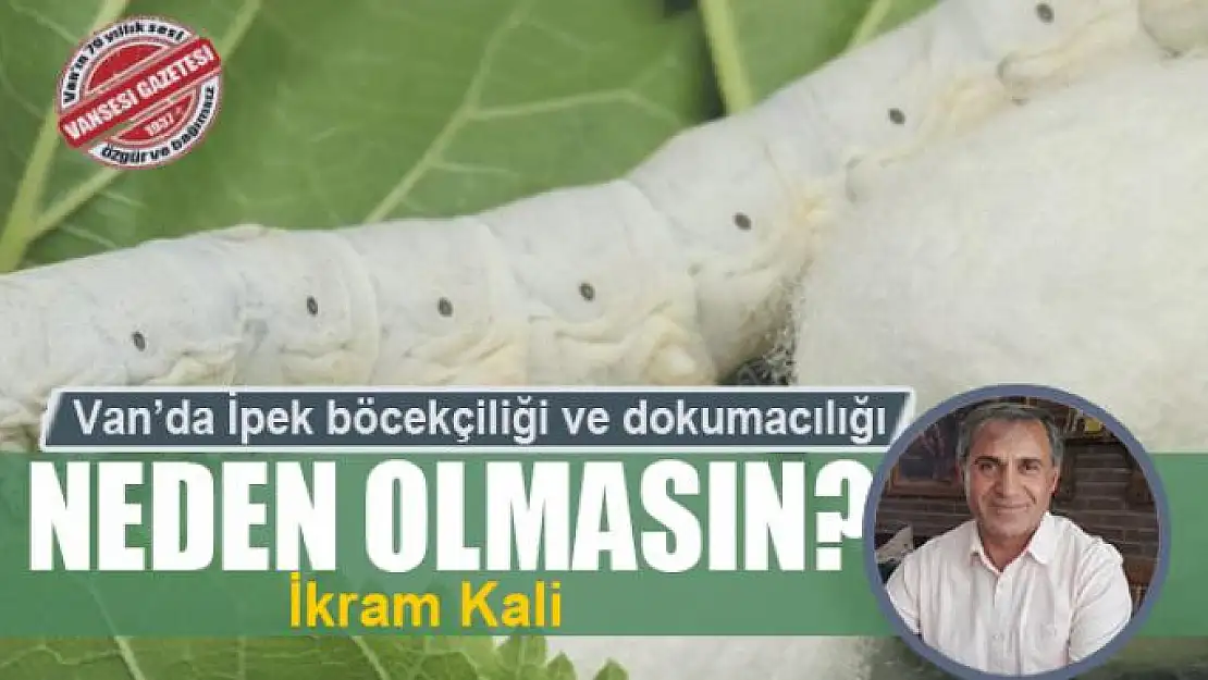 Van'da İpek böcekçiliği ve dokumacılığı neden olmasın?