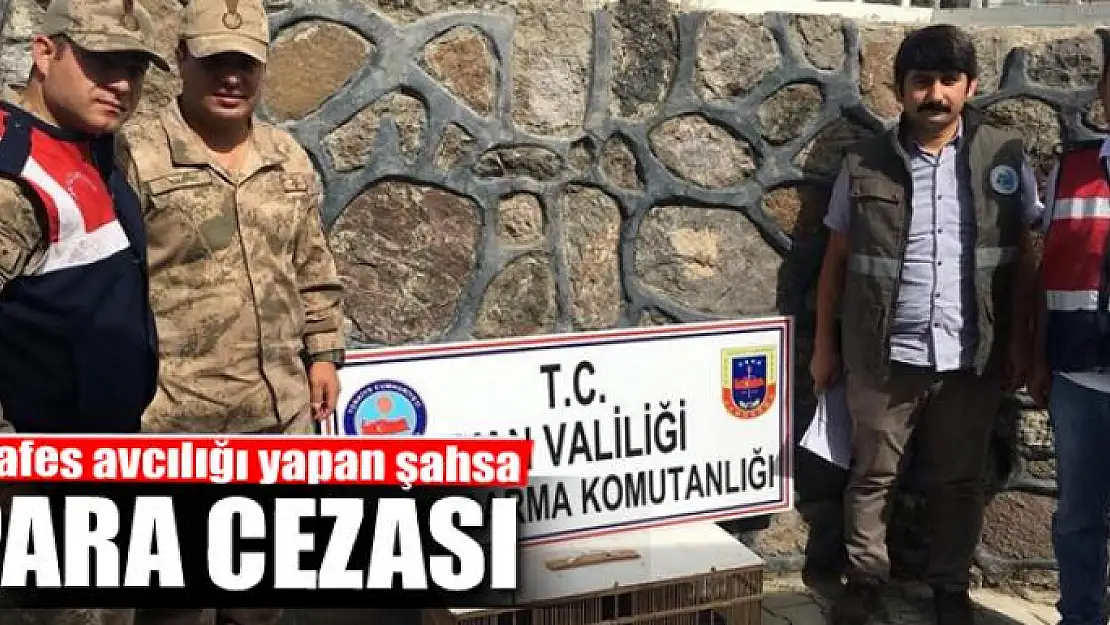 Kafes avcılığı yapan şahsa para cezası