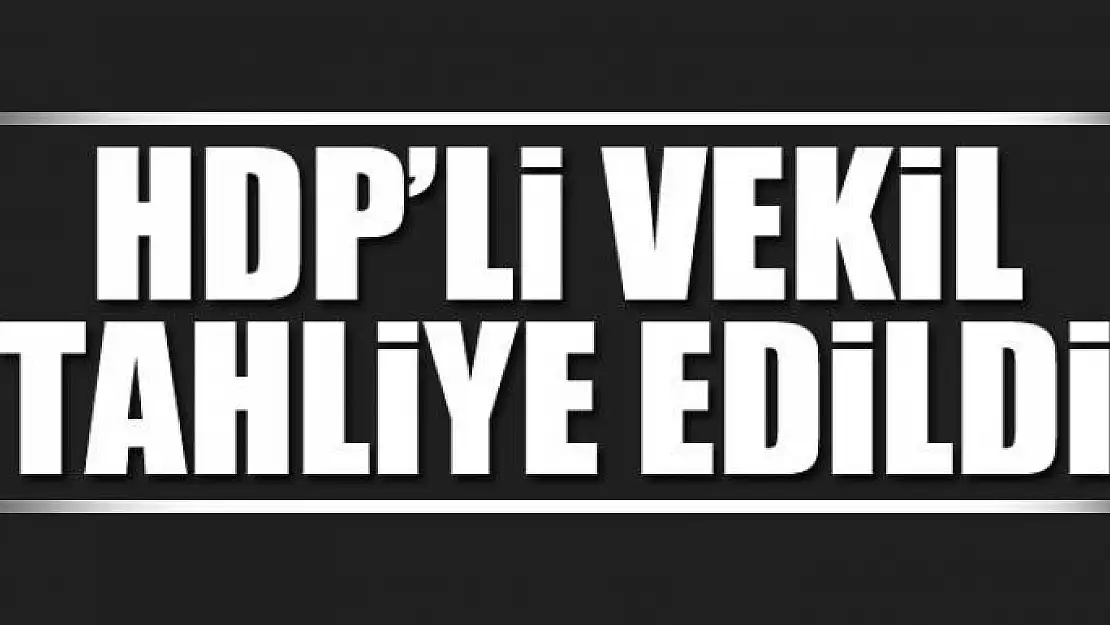 HDP'li vekil tahliye edildi