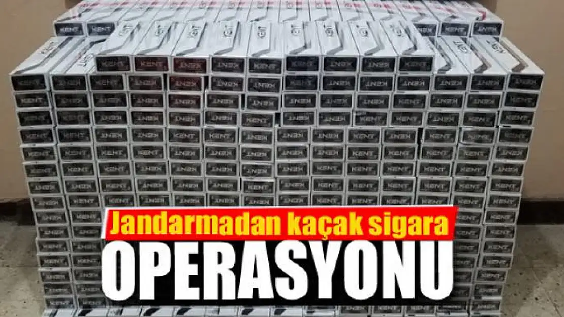 Jandarmadan kaçak sigara operasyonu