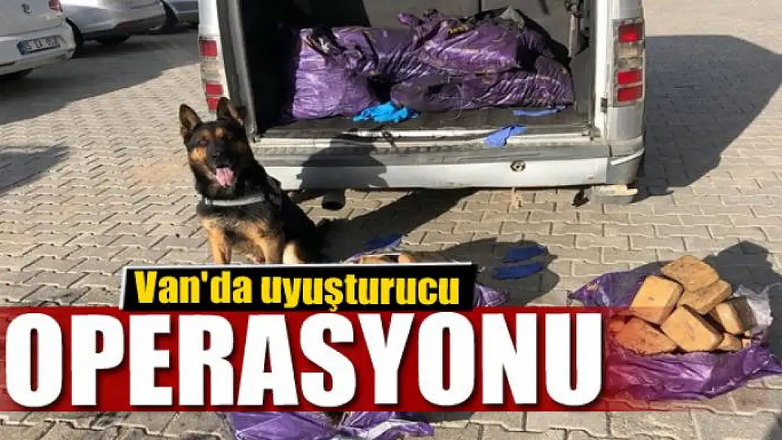 Van'da uyuşturucu operasyonu 