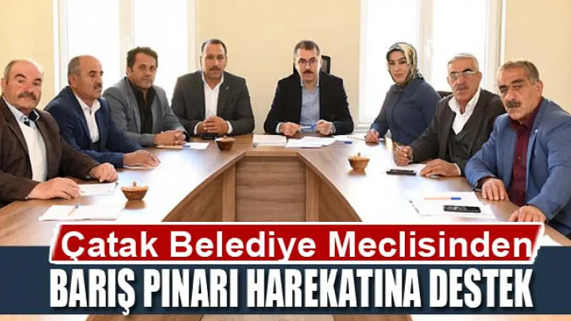 Çatak Belediye Meclisinden 'Barış Pınarı Harekatı'na destek