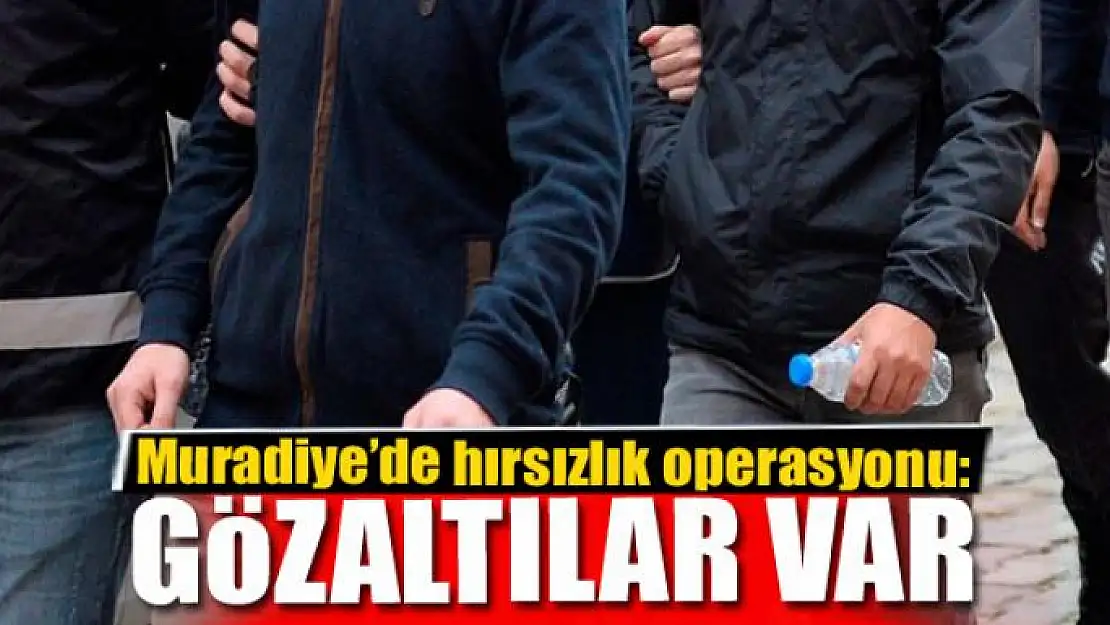 Muradiye'de hırsızlık operasyonu: 2 gözaltı