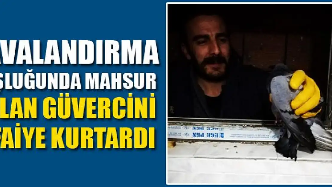 Havalandırma boşluğunda mahsur kalan güvercini itfaiye kurtardı