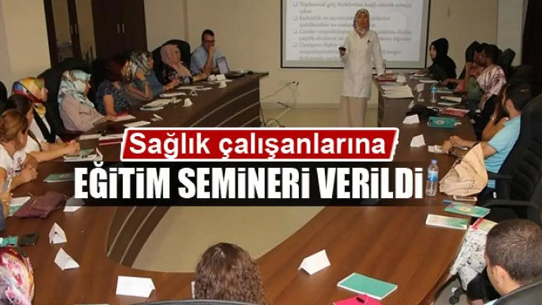 Sağlık çalışanlarına 'kadına yönelik şiddetle mücadele' eğitimi