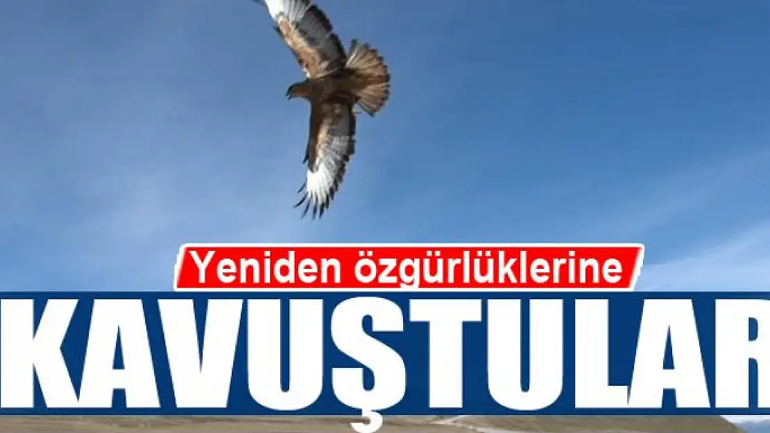 Yeniden özgürlüklerine kavuştular