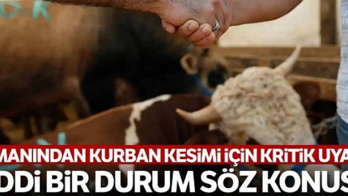 Uzmanından kurban kesimi için kritik uyarı: 'Ciddi durum söz konusu'