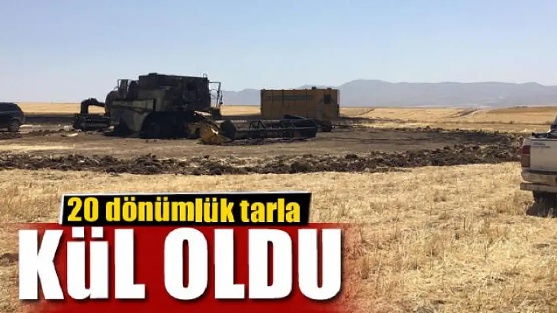 20 dönümlük tarla kül oldu