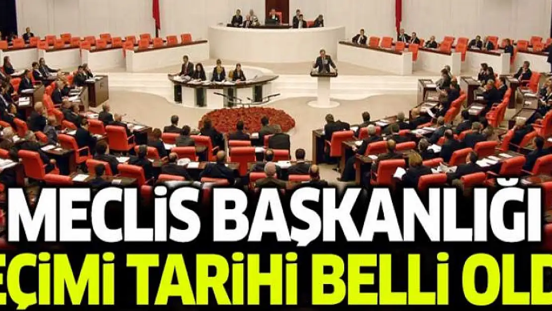 Meclis Başkanlığı seçimi 12 Temmuz'da