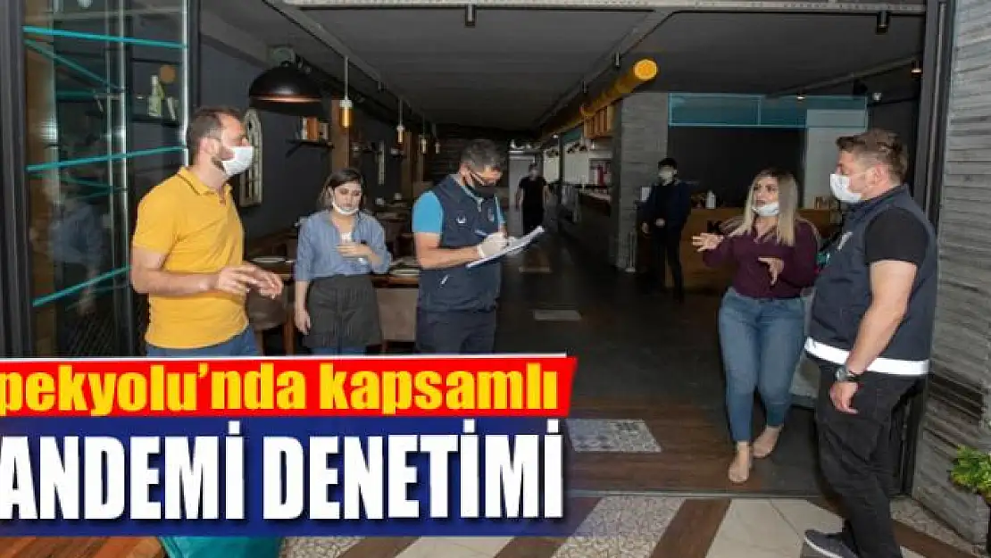 İpekyolu'nda kapsamlı pandemi denetimi