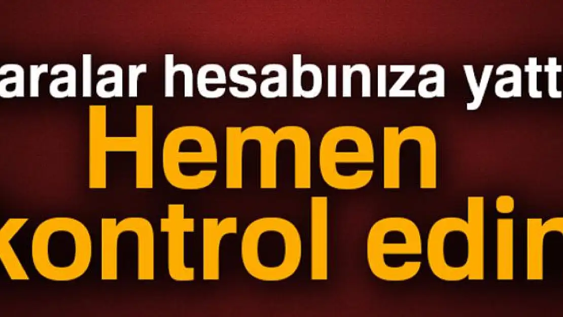 Paralar hesabınıza yattı, hemen kontrol edin