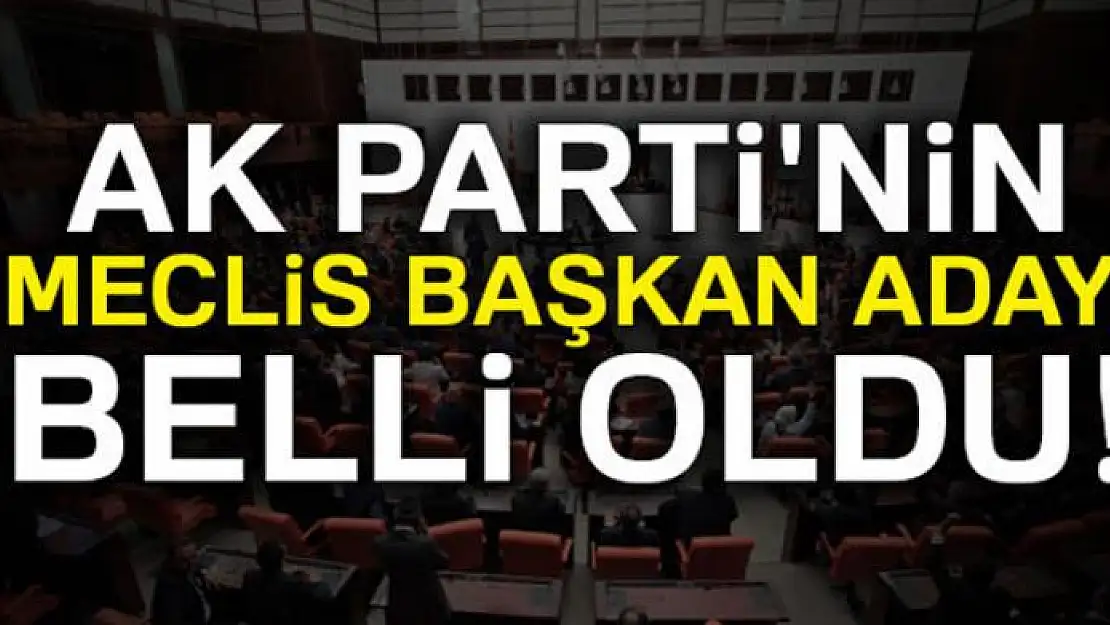 AK Parti'nin Meclis Başkanı Adayı İsmail Kahraman olacak